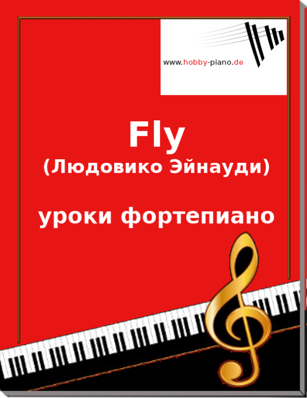 fly 1